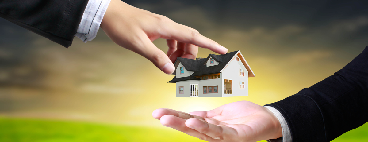 Careers at Plot Build Infra